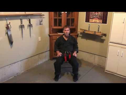 Kenpo is for self-defense, not sport: Commercialization and promoting young kids to black belt