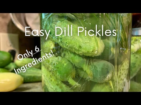 Simple Dill Pickles Using Simple Ingredients!