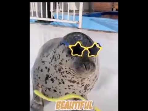 Super Hyper Ultra Ultimate Deluxe Perfect Amazing Strong Cute Beautiful Galaxy Baby Infinity