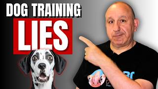 Everything You Know About Reactive Dog Training is Wrong