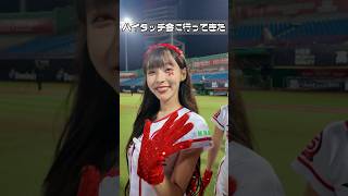 味全龍のハイタッチ会にいってきた。  #台湾チア #cheerleader  天母棒球場 2024/08/18【台湾チアTV】