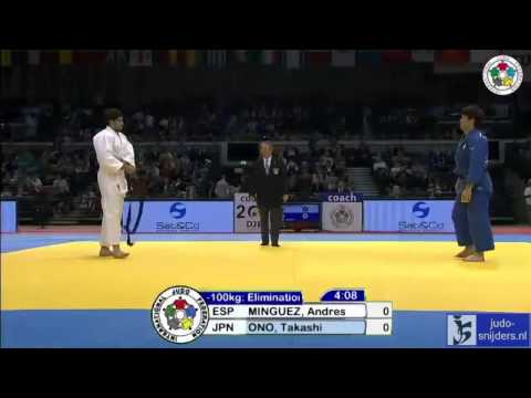 Judo 2013 Grand Prix Dusseldorf: Minguez (ESP) - Ono (JPN) [-100kg]