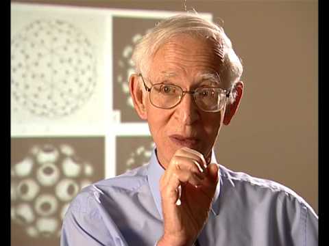 Aaron Klug - Buckminster Fuller inspires my work in the structure of spherical viruses (19/120)