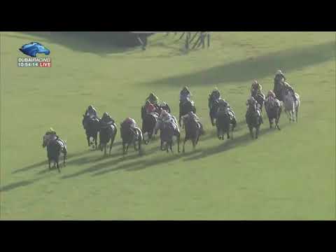 2018.11.11 Queen Elizabeth II Cup (JPN) - Lys Gracieux