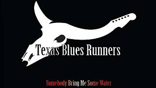 Texas Blues Runners - 2010 - Coming Down From Lovin You - Dimitris Lesini Greece