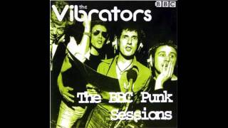 The Vibrators - War Zone (Live)
