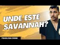 Unde Este Savannah Leo Rodarte