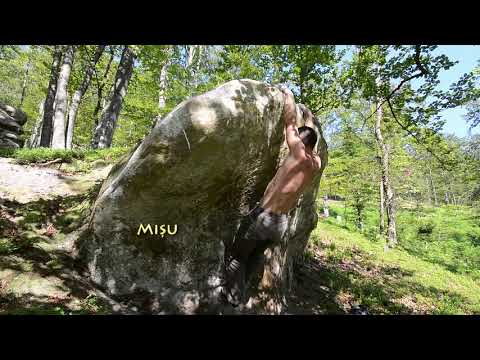 Discover Stanca 2 - Mononucleoza