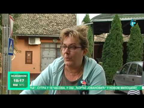 Ravničarenje: Čelarevo