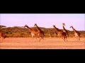 Discovery Channel Discovery HD Theater Promo