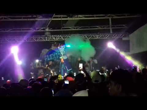 Koringatron - Show ( The Black )