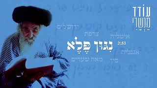 ניגון פלא   עודד מנשרי