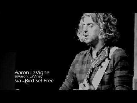 Sia - Bird Set Free (Cover) | Aaron LaVigne