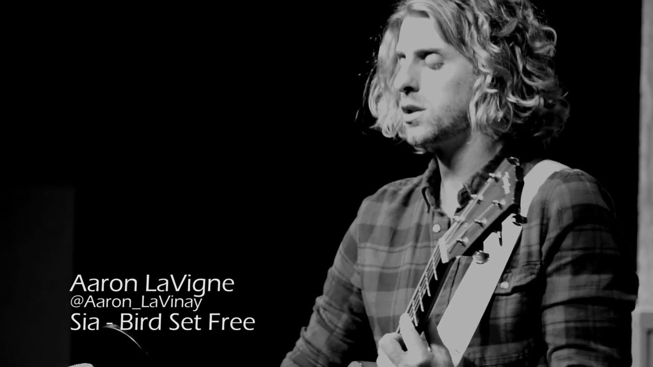 Promotional video thumbnail 3 for Aaron LaVigne