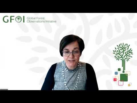 Troisième forum virtuel « Connecter et réfléchir » : Modalités de financement du SNSF