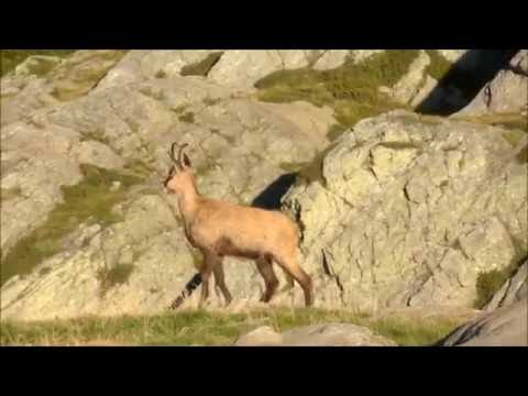 Traversata Val Grande da Cicogna a Colloro