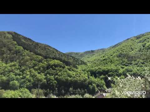 TERASA CU PLĂCINTE❗️