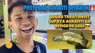 Download lagu HOW TO CURE A CROOKED AURANTI‼️ WHY DO AURANTI GET CROOKED ‼️ mp3