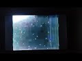 Opening Closing To Heavy Metal 1982 VHS