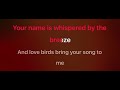 Constantly karaoke mmoAb female key original by Cliff Richard with lyrics