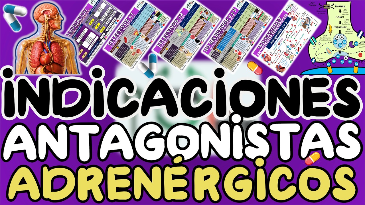 ANTAGONISTAS ADRENÉRGICOS INDICACIONES | GuiaMed
