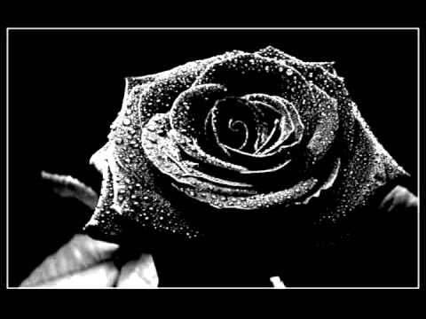 ABBAND - ČERNÁ RŮŽE.avi