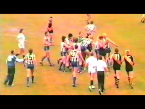 1989 VFL Under 19's Grand Final Brawl - North Melbourne vs Richmond