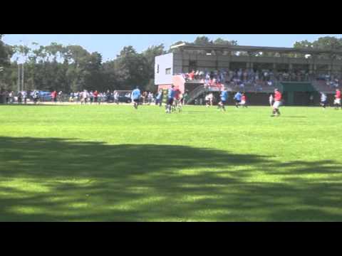 DEHMusschen Meeuwenplaat