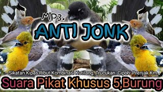 Download lagu SUARA PIKAT SIKATAN KIPAS RIBUT KOMBINASI. KUTILANG. TRUCUKAN. CIPOH. PRENJAK. JITU.. mp3 Download lagu SUARA PIKAT SIKATAN KIPAS RIBUT KOMBINASI. KUTILANG. TRUCUKAN. CIPOH. PRENJAK. JITU.. mp3
