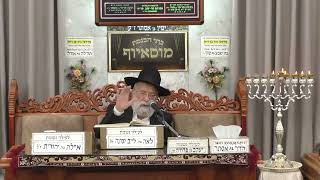 • הרב אהרון ירח י • הלכות • בית הכנסת מוסאיוף (בית הכנסת מוסאיוף - ערוץ חדש) - התמונה מוצגת ישירות מתוך אתר האינטרנט יוטיוב. זכויות היוצרים בתמונה שייכות ליוצרה. קישור קרדיט למקור התוכן נמצא בתוך דף הסרטון • הרב אהרון ירח י • הלכות • בית הכנסת מוסאיוף (בית הכנסת מוסאיוף - ערוץ חדש) - התמונה מוצגת ישירות מתוך אתר האינטרנט יוטיוב. זכויות היוצרים בתמונה שייכות ליוצרה. קישור קרדיט למקור התוכן נמצא בתוך דף הסרטון