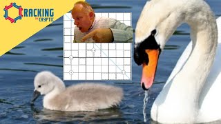 See what this Ugly Duckling becomes ...