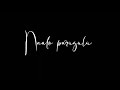 Naalo Parugulu Thise Manasee Nekai Vethikenu Song Lyrics Black Screen Bheemli Kabaddi Movie