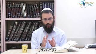 נר רביעי - דביר קודשו הביאני [להודות ולהלל] | הרב רפאל למפרט (ישיבת בני דוד) - התמונה מוצגת ישירות מתוך אתר האינטרנט יוטיוב. זכויות היוצרים בתמונה שייכות ליוצרה. קישור קרדיט למקור התוכן נמצא בתוך דף הסרטון