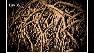 A Year through the Lens - Final Chapter 12