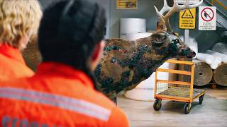 Workers Accidentally Release Zombie Fungus From a Military Bunker That Was Sealed 47 Years Ago