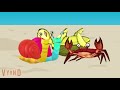 Mr Snail Turtle And Crab