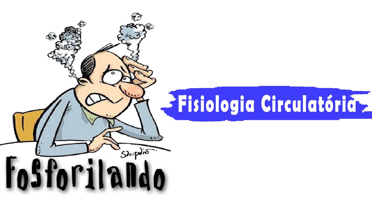 Fisiologia Circulatória / Vascular: Microcirculação