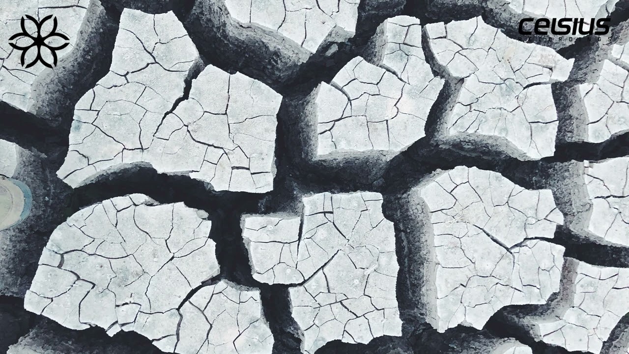 Qumulus & Warm Roller - Black Lies