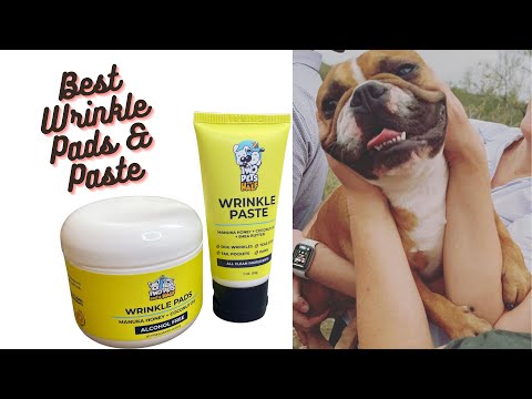 Best Wrinkle Pads and Paste for your Wrinkly Dog