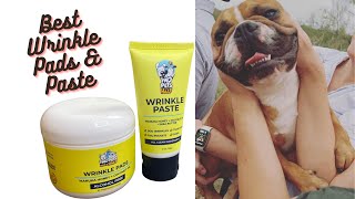 Best Wrinkle Pads and Paste for your Wrinkly Dog