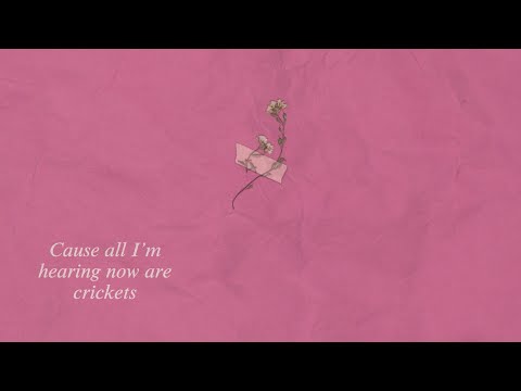 Miniatura de Crickets