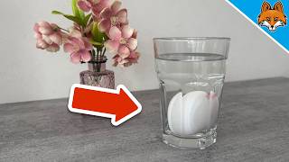 Almost NO ONE knows the Trick with the Egg in a Glass💥(But EVERYONE should know)🤯