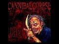 Cannibal Corpse - Infinite Misery