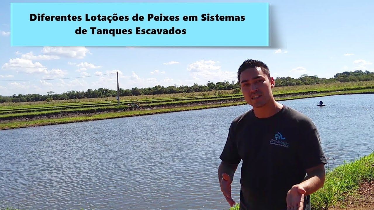 Differences in Fish Stocking in Excavated Tanks with and without Oxygenation - Video 79