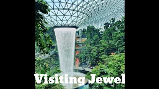 Visiting the Walking Nets and Canopy Bridge at Jewel, Changi Airport