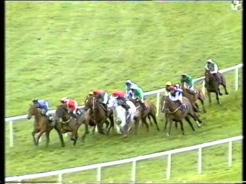 1989 Youngmans Long Walk Hurdle