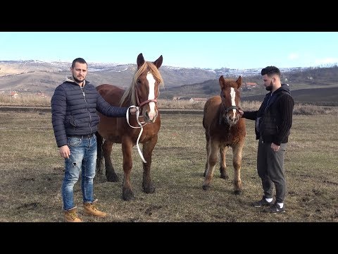 In vizita la Sebi de la Tritenii Hotar, Cluj cu Marius si Andrei de la Turda2019