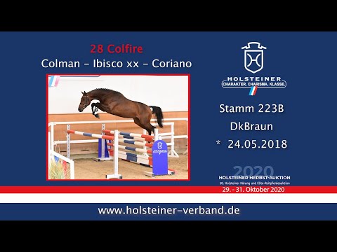 Holsteiner Körlot 2020 | Nr. 28 Colfire