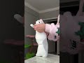 How To Trick A Cat Cat Cats