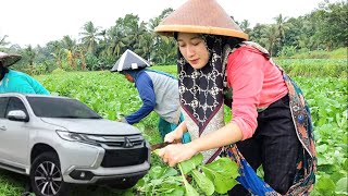 Download lagu Kata neng anggi kalau harga sesim 8rb/1 kg bisa kebeli mobil pajero😁 | gadis desa cantik | pedesaan mp3